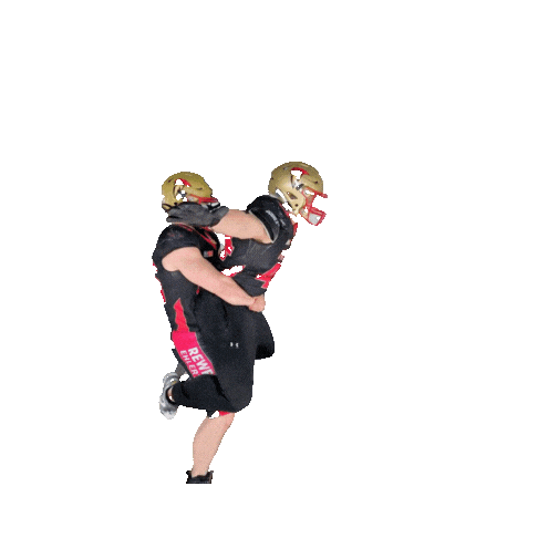 neu-ulm-spartans giphyupload football nuspartans Sticker