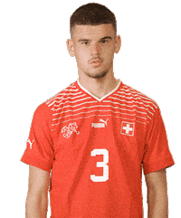 Switzerland Suisse Sticker by Swiss Football Association