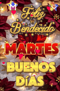 Feliz Amigos GIF by Murcianys LLC