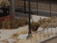 sub pop cameron dutra GIF by Sub Pop Records