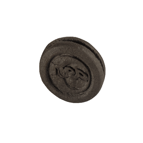 Casaredo giphyupload neo biscoito sorte Sticker