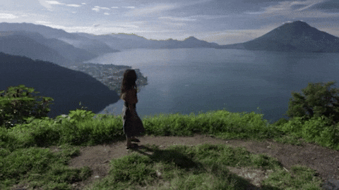 holcik giphyupload GIF