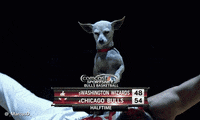 nba photos GIF by RedEye Chicago