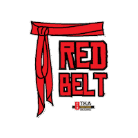 Martial Arts Artes Marciais Sticker by TKA Kung Fu