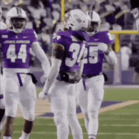 Football Celebrate GIF by JMUDukes