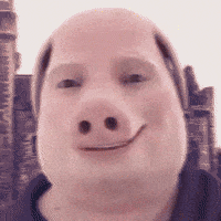 John Pork GIF by Respective