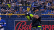 Celebrate Major League Baseball GIF by MLB
