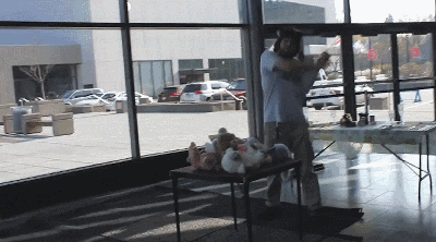 giffunme giphyupload GIF