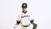 Ncaa Baseball Celebration GIF by Purdue Fort Wayne Athletics