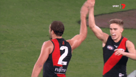 happy sport GIF by Essendon FC