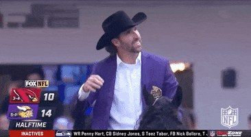 Jared Allen Football GIF by NFL