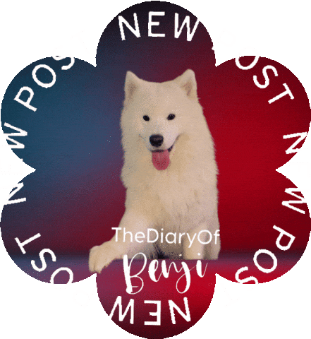 New Post Sticker
