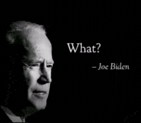 Joe Biden What GIF