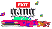 Novisad Dancearena Sticker by EXIT Festival