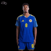 Fifa World Cup Curacao GIF by Respective