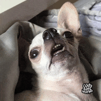codyeatsworms confused twitch wink stare GIF