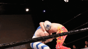 SHWAWrestling champion title belt suplex GIF