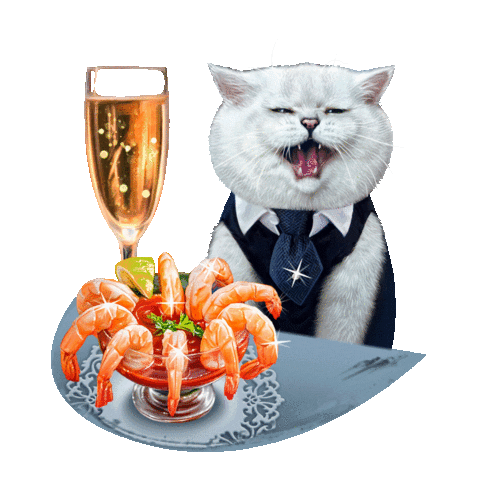 Cat Britishcat Sticker by British cats cattery and Apollo cat.