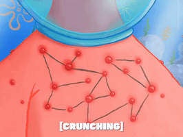 season 5 episode 10 GIF by SpongeBob SquarePants