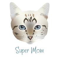 Supermom Sticker