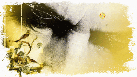 DiarioDeNoticias giphyupload GIF