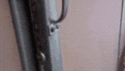 time hens GIF