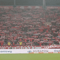 Rts GIF by Widzew Łódź