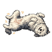 Fun Love Sticker by abana a cauda