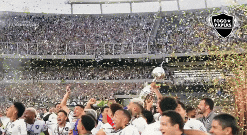 Botafogo De Futebol E Regatas Libertadores GIF