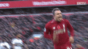 premier league football GIF by Liverpool FC