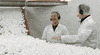 eggs GIF