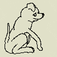 dog GIF by Dan Anthony Kelly