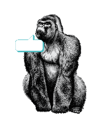JeugdwerkGent gorilla jeugdwerkgent vreewijs Sticker