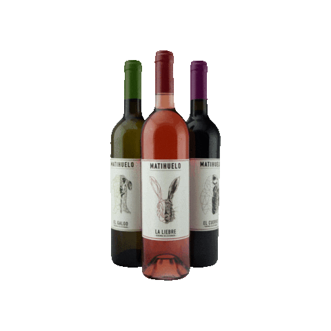 BodegasMatihuelo giphygifmaker Sticker
