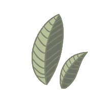 Elizabethalvite nature leaf leaves elizabethalvite Sticker