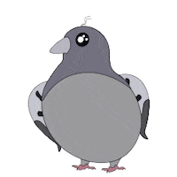 Pidegeon Sticker