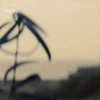 Series 12 Cyberman GIF by Doctor Who