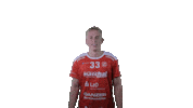 Handball Vtb Sticker by SG VTB/Altjührden