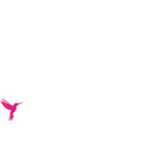 Hotels Sticker by Online Birds Hotel Marketing Solutions