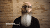 pride beard GIF by Beardbrand