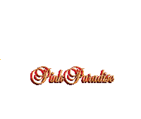Santa Claus Christmas Sticker by pinkparadise