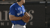 Blue Jays Baseball GIF by Toronto Blue Jays