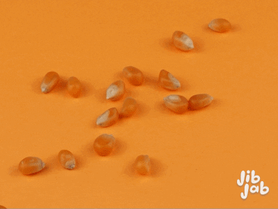 Orange Popcorn GIF by Hello Media