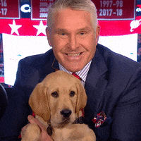 Good Boy Dog GIF by NBC Sports Washington