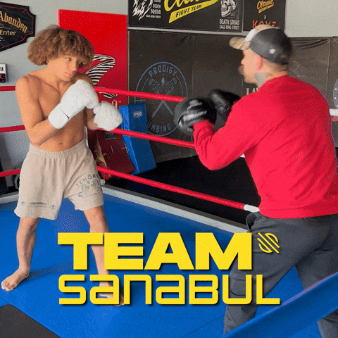 Mma GIF by Sanabul