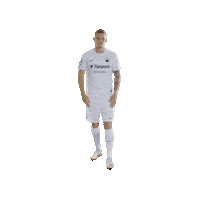 Fcsl Sticker by FC Slovan Liberec