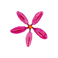 ovunquebycaro pink flower flowers pretty Sticker