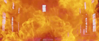 joji GIF by Higher Brothers
