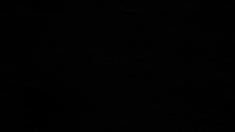 Youtube Gold GIF by Chris TDL