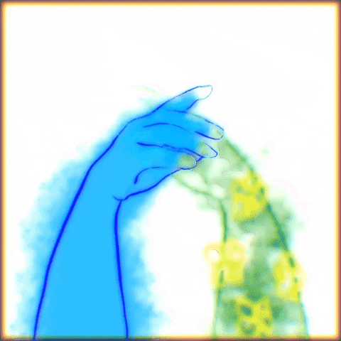 CRABUB giphyupload art film water GIF